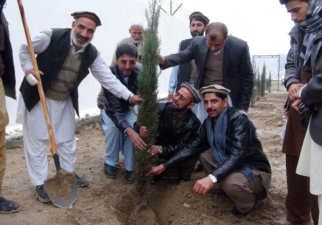 په ننګرهار کې د نيالګيو اېښودلو پسرلنی کمپاين پيل شو