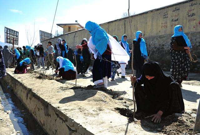 زنان در کمپاين نهالشانى شهرکابل اشتراک کردند