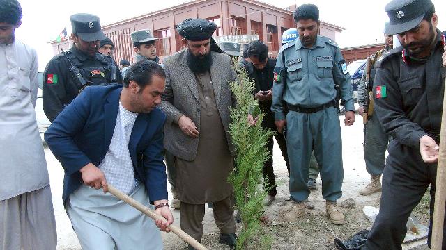 په غزني ښار کې ٤٠زره نيالګي ايښودل کېږي