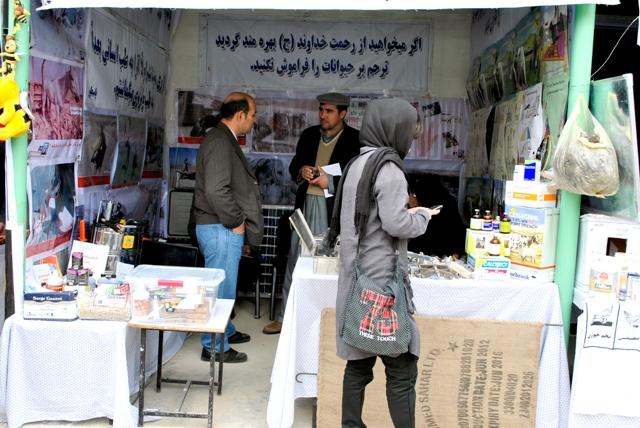 په بلخ کې د بېلابېلو کرنيزو محصولاتو کرنيز جشن پيل شو