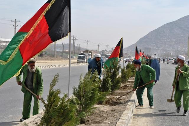 1 million saplings to be planted in Kabul