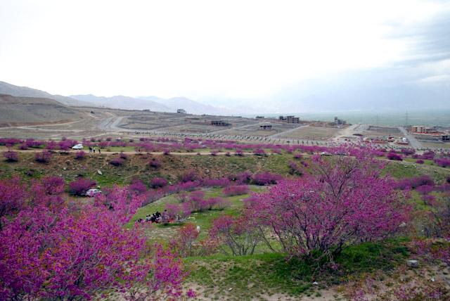 Blast fears keep visitors from Gul Ghundai picnic site
