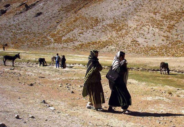 صد ها تن در باميان به مرض بروسلوز مصاب شده اند