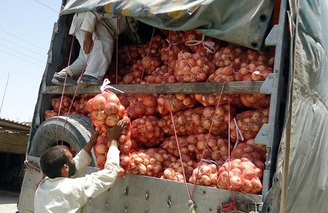Onion crop seen as agro growth driver