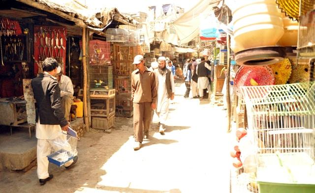 Ka Froshi bird market in Kabul