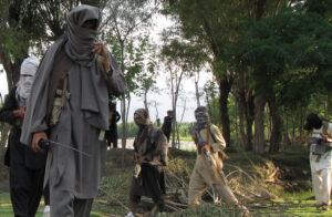 14 rebels eliminated in security operations