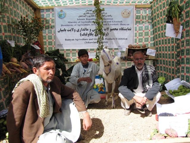 نمایشگاه زراعتی در بامیان افتتاح شد