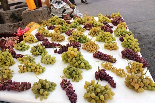 Kandahar exports 5,587 tonnes of grapes
