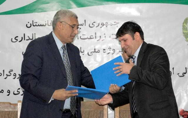 شش هزار خانواده در زمینۀ پرورش مرغ آموزش می بینند