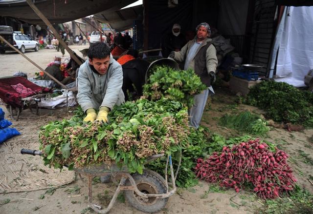 توقف هزاران موتر حامل ميوه و مواد خوراکى باعث افزايش نرخها شده است