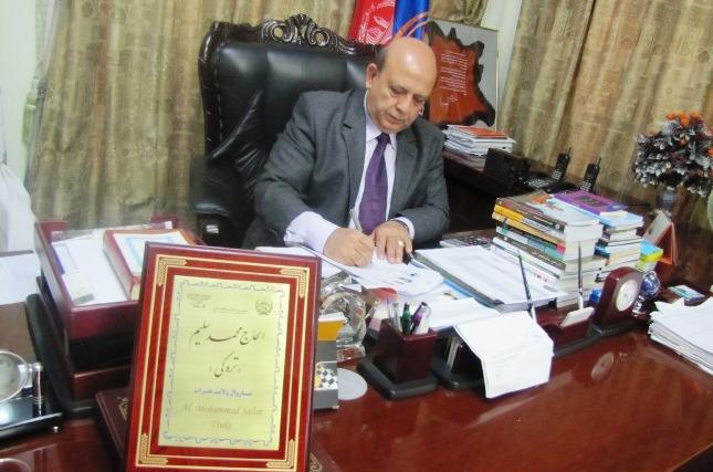 Taqi Naqi Township is illegal: Herat mayor