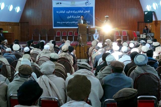 “ننګرهار کې پر ١٥زره هکتاره ځمکه کوکنار کرل شوي”