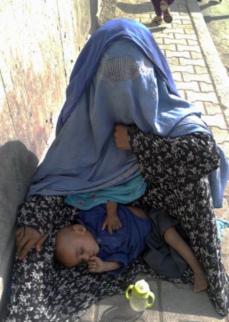 Many war widows in Farah forced into begging