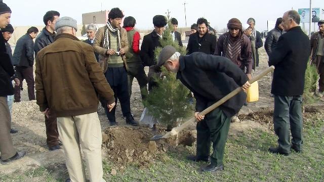 په بلخ کې د نيالګيو اېښود لړۍ پيل شوه