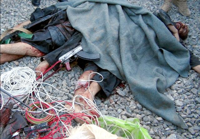 Ghazni: 60 rebels killed in 20 days