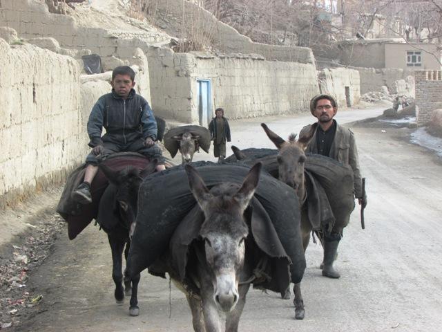 مسوولين و زورمندان در قاچاق زغال سنگ دست دارند