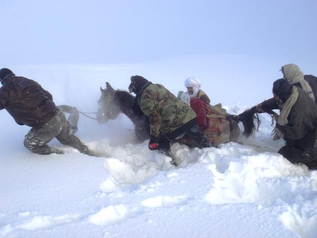 بيش از يکصد مسافر گيرمانده در برف نجات داده شدند