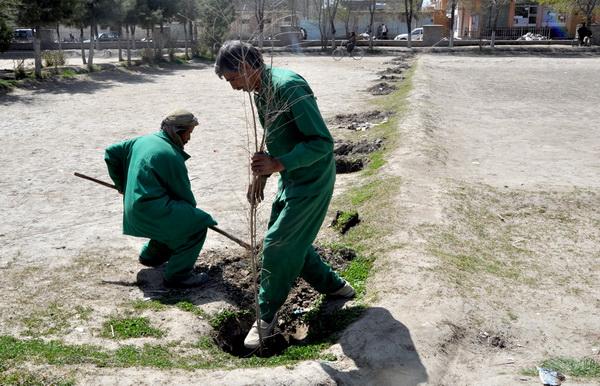 Municipality’s Greenery Department’s workers