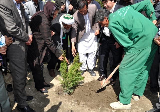 3 million trees planted in 3 years in Kabul
