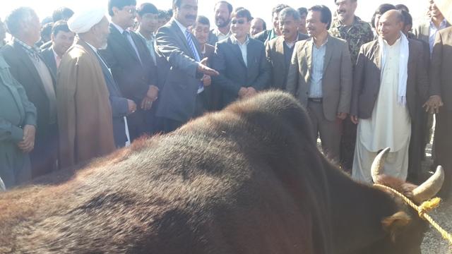 ارتقاى باميان به درجه دوم باعث افزايش عوايد منابع طبيعى ميشود