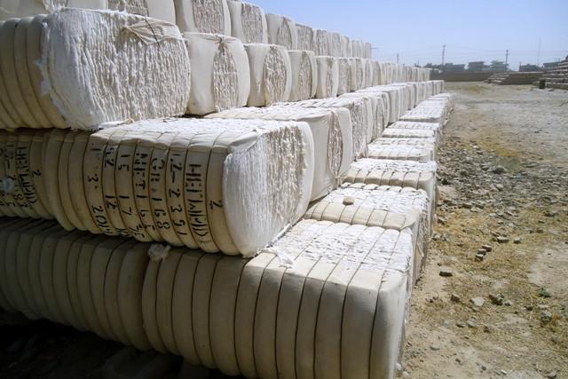 Pakistani millers, Afghan cotton growers ink deals