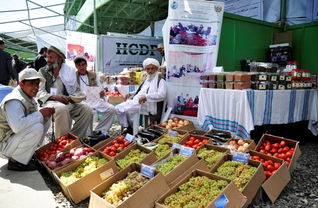 “با امضاى موافقتنامه، شرکت کنندگان نمايشگاه زراعتى افزايش يافته است”