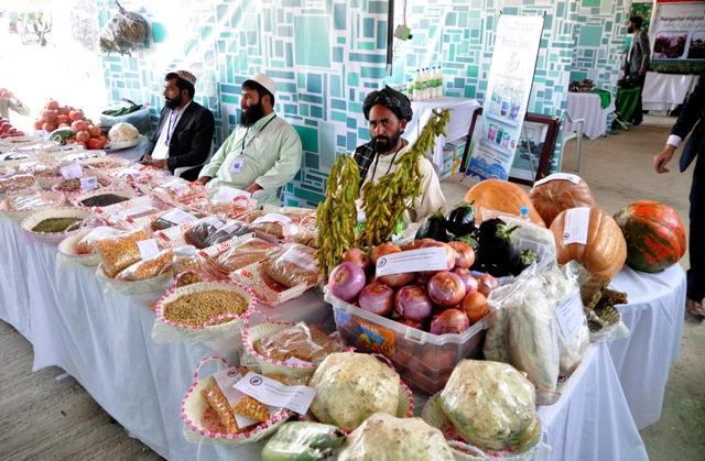Agricultural exhibition in Kabul