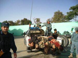 ملکي وګړو او وسله والو  ته مرګ ژوبله اوښتې