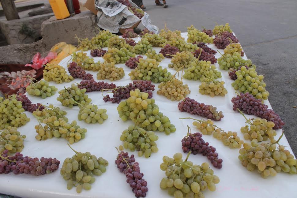 Despite problems, Kandahar exports $8m grapes