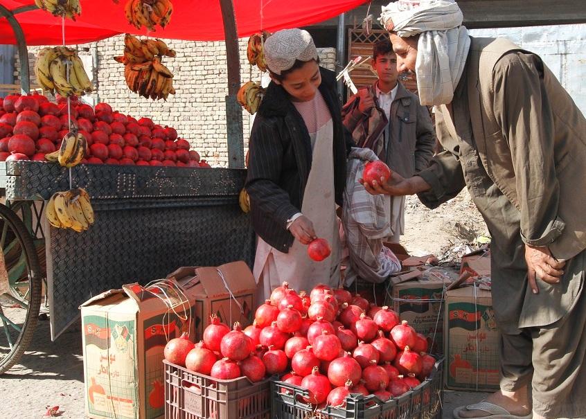 Kandahar exports 150,000 tonnes of fresh, dried fruits