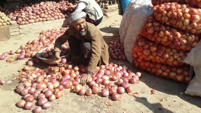 Logar farmers seek profitable market for onion
