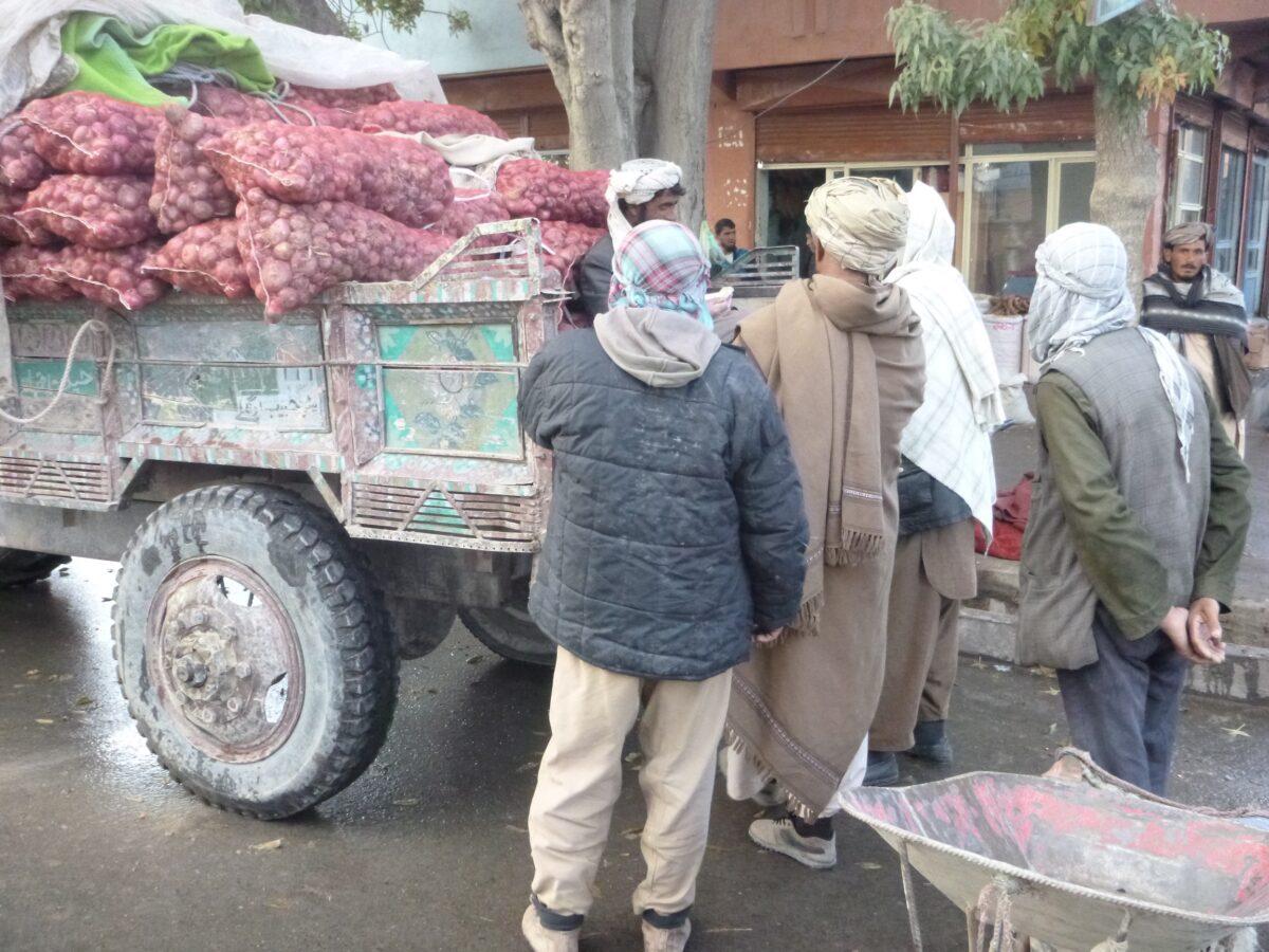 Logar farmers seek market for onion crop