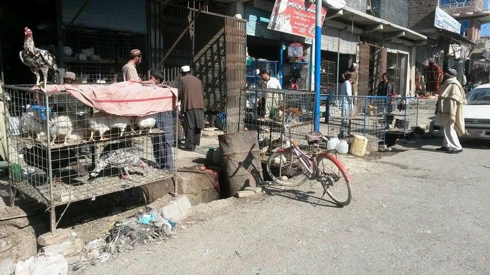 خوست ښار کې د چرګانو پلورنکو د سړکونو غاړې او پلې لارې  چټلې کړي