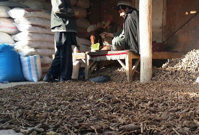 ”د شېرين بويې د قاچاق او د هغې د نامسلکي راټولونې مخه دې ونيول شي”