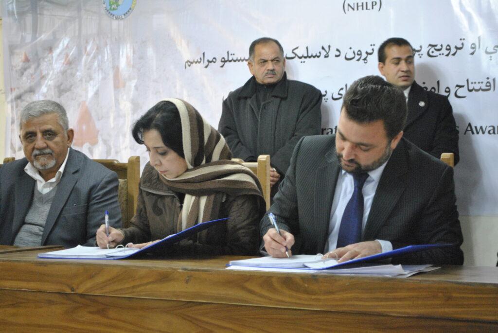 زمینۀ مرغدارى برای ١٠٠٠ خانوادۀ بی بضاعت فراهم می شود