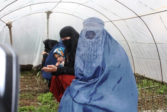 278 greenhouses constructed for women in north