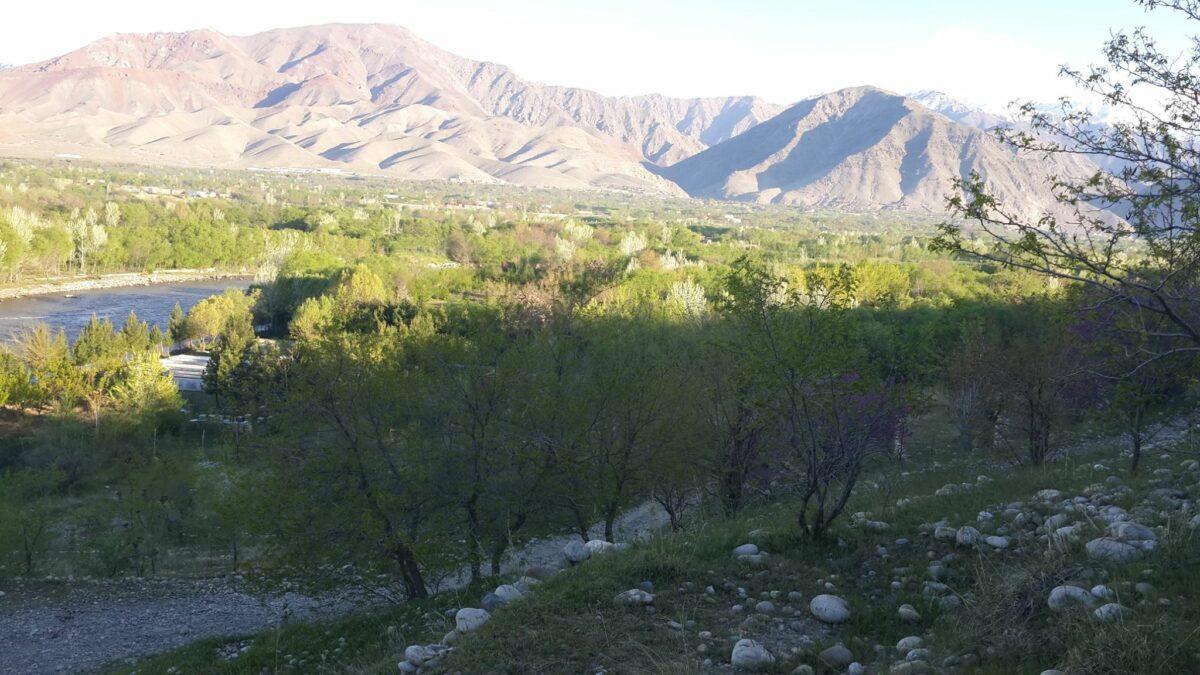 Checkpoints near schools a thing of past: Education director