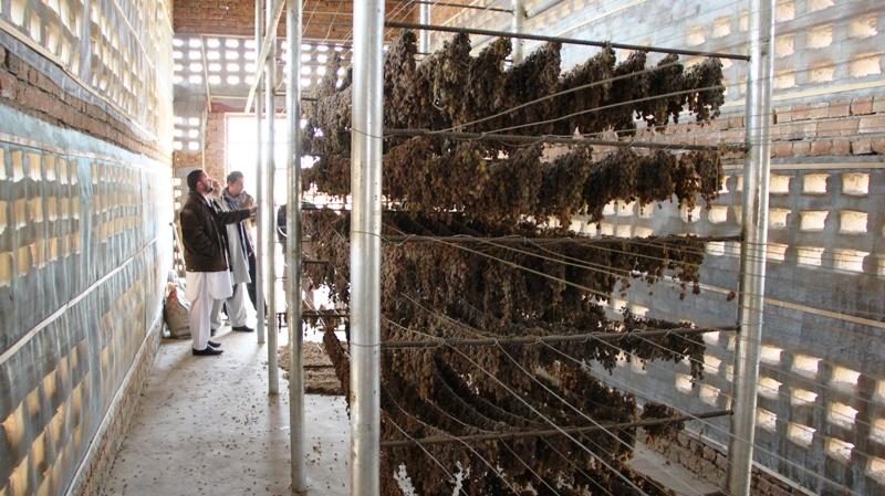 200 raisin-processing plants being installed in 9 provinces