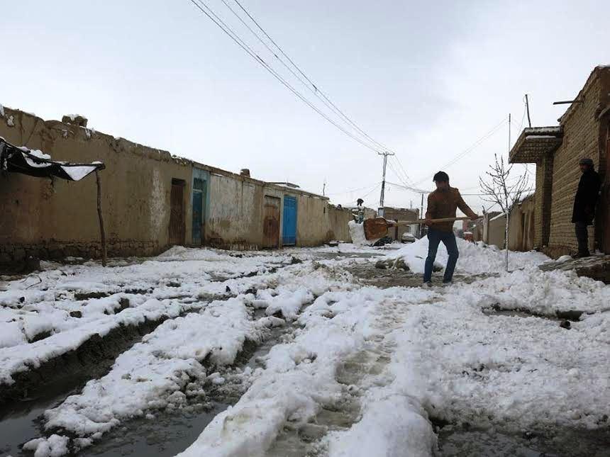 بلخ کې اوسنى ورښت د للمي ځمکو لپاره ګټور  ده