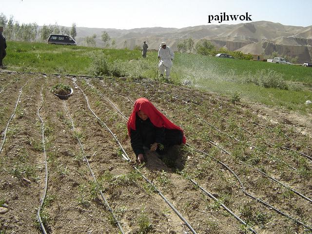 کار بند آبگردان المار از سر گرفته شد