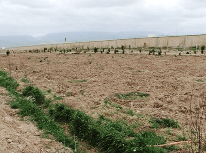 Balkh farmers concerned about lack of rain, snow