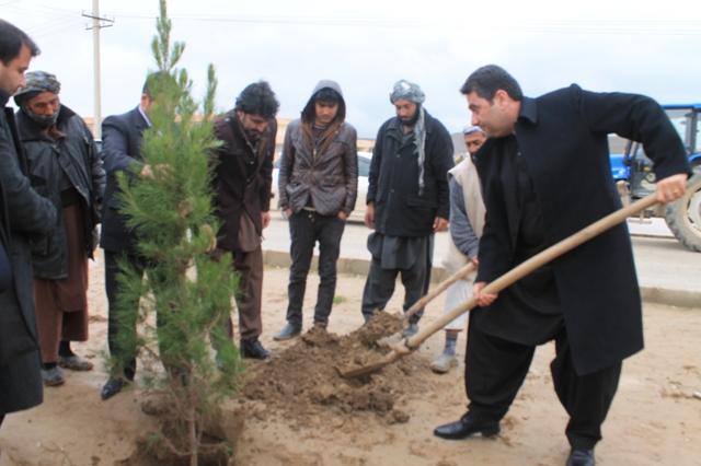 کمپاین نهال شانی در شهر سرپل آغاز شد