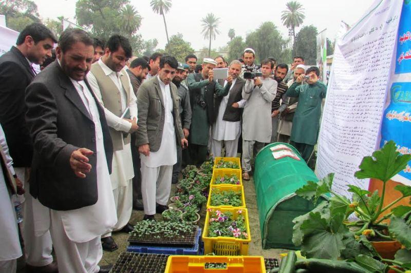Nangarhar to have more greenhouses, cold storages