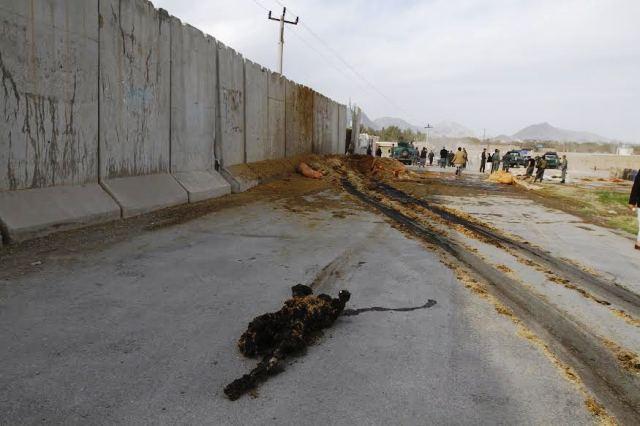Suicide bomber shot dead in Kandahar