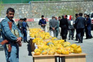 بيش از١٢٠٠ کيلوگرام مواد مخدر کشف و ضبط شد