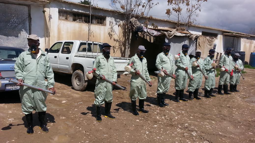 Anti-locust campaign kicks off in Samangan