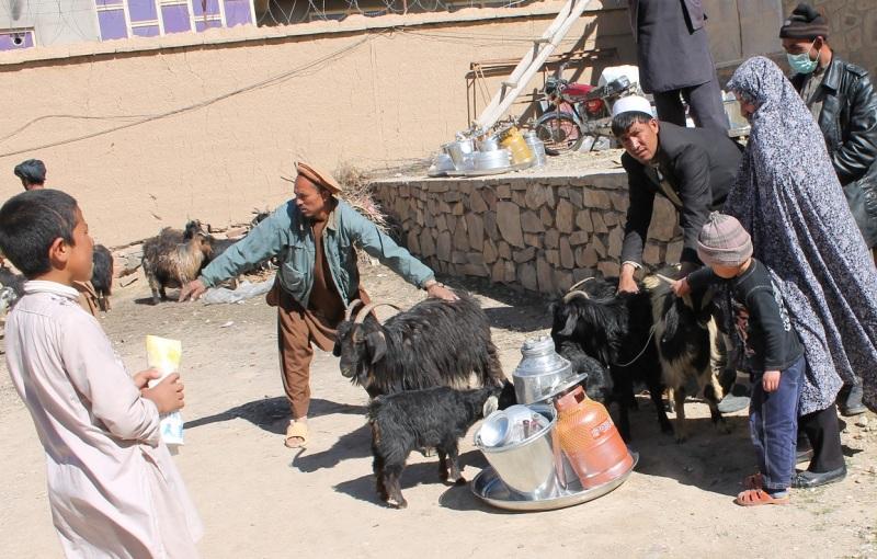CRDSA distributes goats among Ghor families