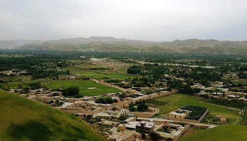 Faryab petroleum director gunned down in office