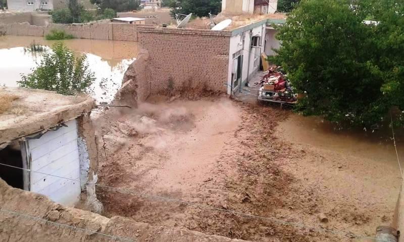 Rain-induced floods cause losses in Paktika