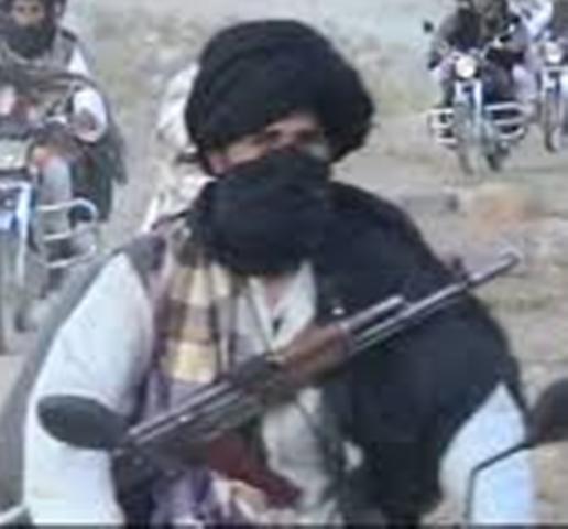 “طالبان در زابل برخى افراد مسلح داعش را حلق آويز کرده اند”